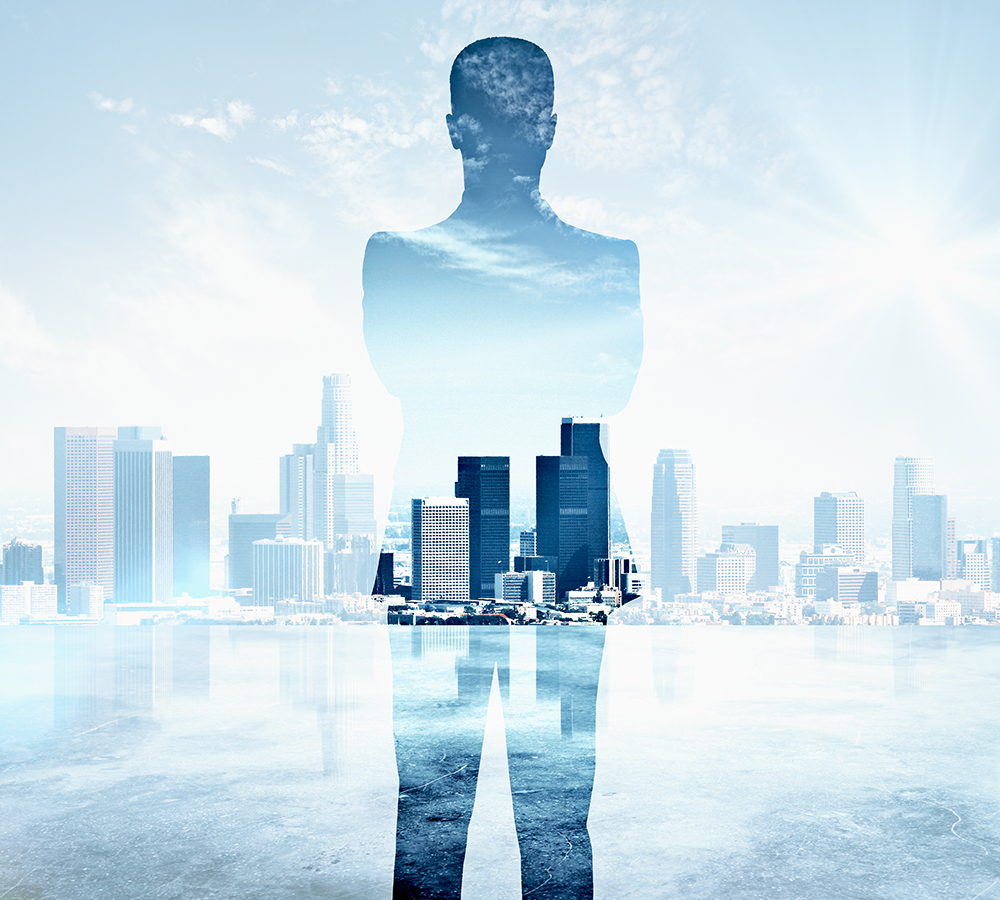 Seguridad Profesional